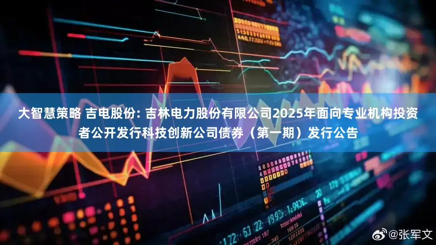 大智慧策略 吉电股份: 吉林电力股份有限公司2025年面向专业机构投资者公开发行科技创新公司债券(第一期)发行公告