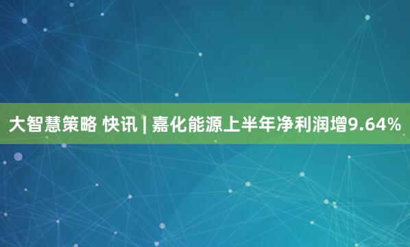 大智慧策略 快讯 | 嘉化能源上半年净利润增9.64%